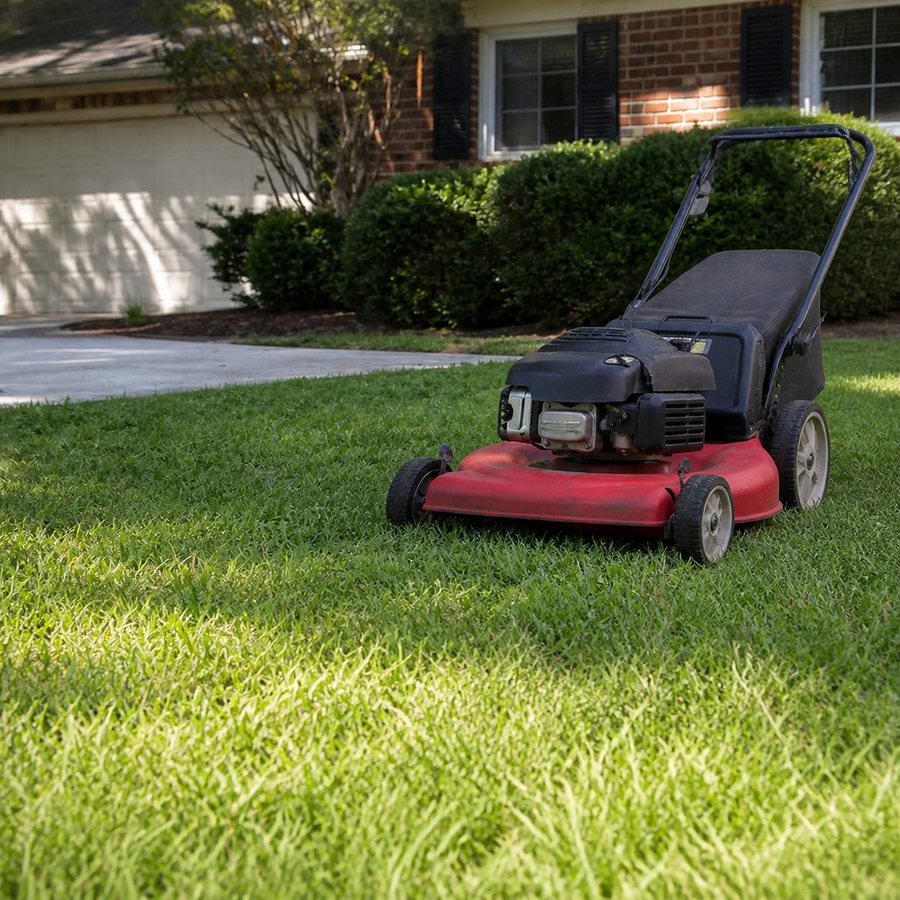 Bi-weekly residential lawn mowing for a Columbia SC home